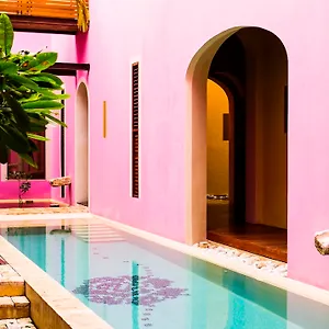 Rosas & Xocolate Boutique And Merida, A Member Of Design Mexico